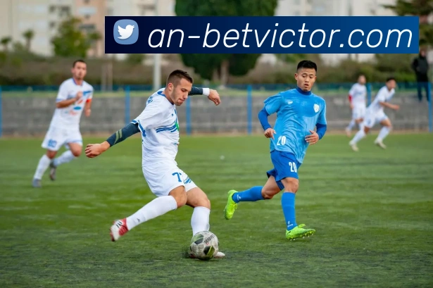 伟德体育官网发展历程